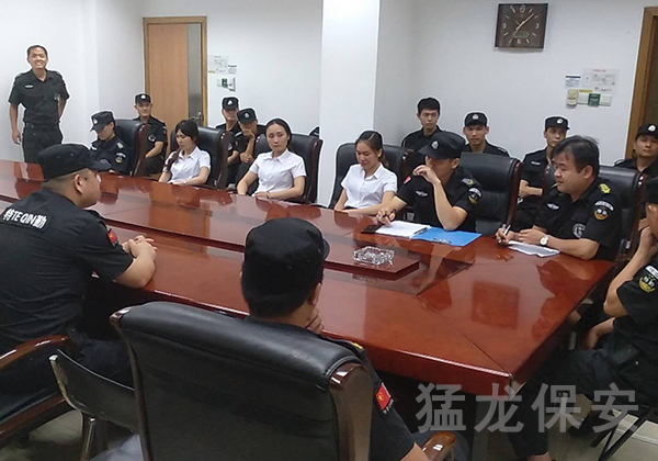 专业水蜜桃视频在线播放