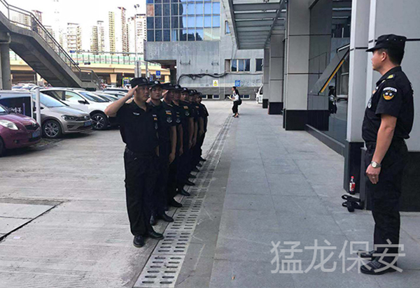 水蜜桃视频在线播放培训