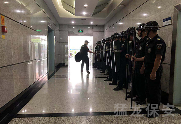 水蜜桃视频在线播放供应商