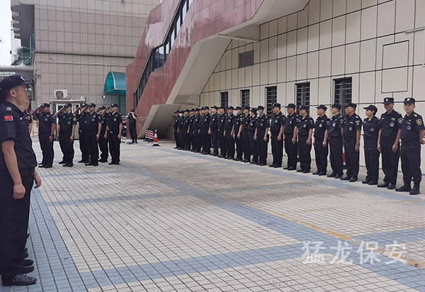水蜜桃视频在线播放
