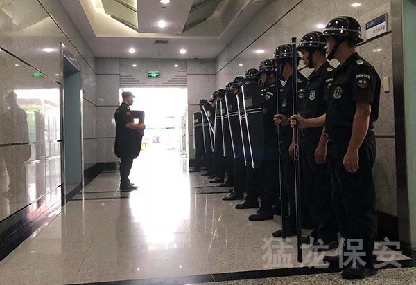 临时水蜜桃视频在线播放
