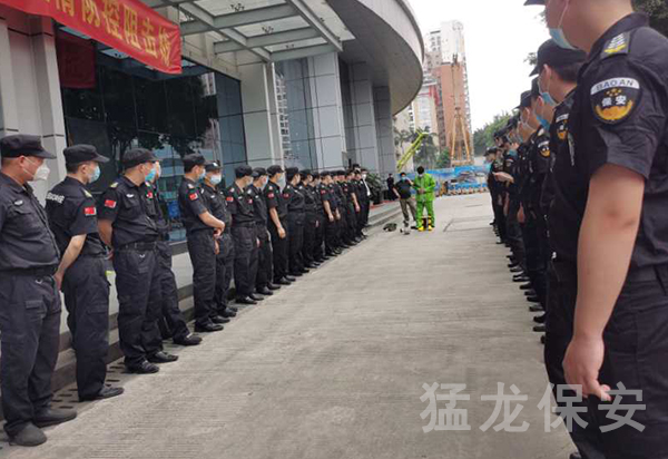 水蜜桃视频在线播放